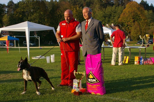 www.boxer-show.eu